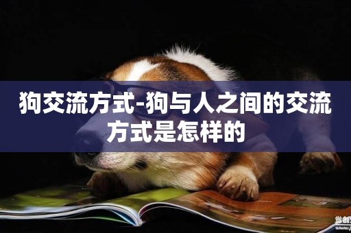 狗交流方式-狗與人之間的交流方式是怎樣的