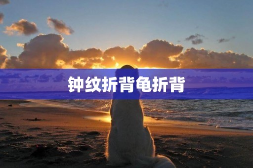 鐘紋折背龜折背