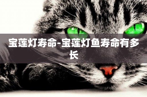 寶蓮燈壽命-寶蓮燈魚壽命有多長