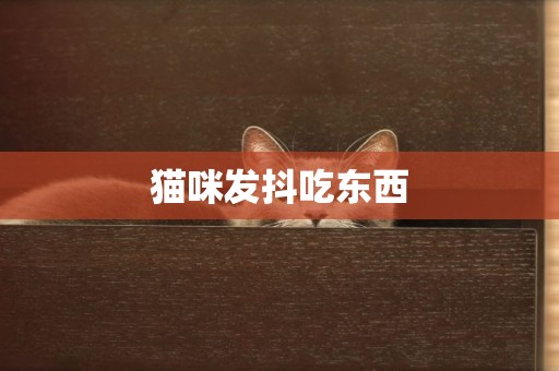 貓咪發抖吃東西