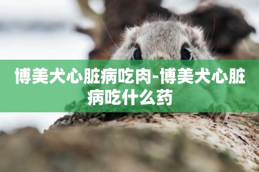 博美犬心臟病吃肉-博美犬心臟病吃什么藥