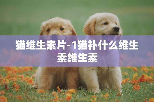 貓維生素片-1貓補什么維生素維生素