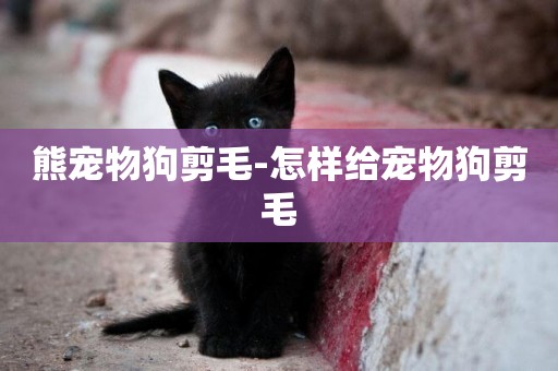 熊寵物狗剪毛-怎樣給寵物狗剪毛
