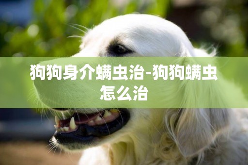 狗狗身介螨蟲治-狗狗螨蟲怎么治
