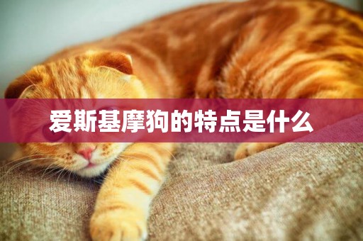 愛斯基摩狗的特點是什么