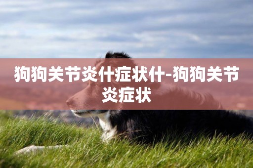 狗狗關節炎什癥狀什-狗狗關節炎癥狀