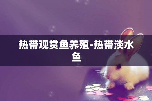 熱帶觀賞魚養殖-熱帶淡水魚