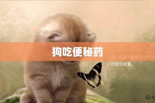 狗吃便秘藥