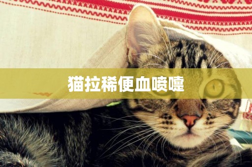 貓拉稀便血噴嚏