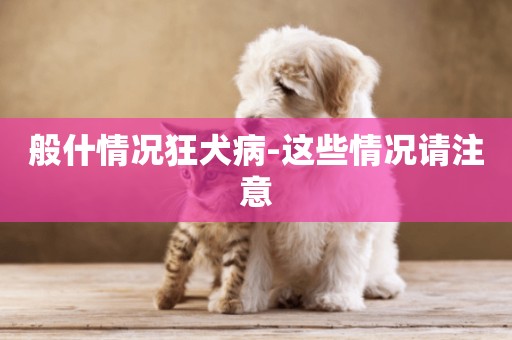 般什情況狂犬病-這些情況請注意