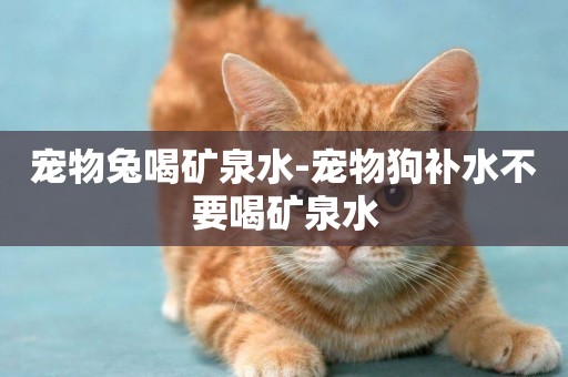 寵物兔喝礦泉水-寵物狗補水不要喝礦泉水