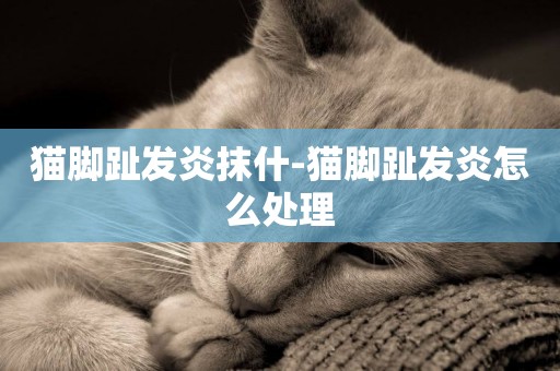 貓腳趾發炎抹什-貓腳趾發炎怎么處理