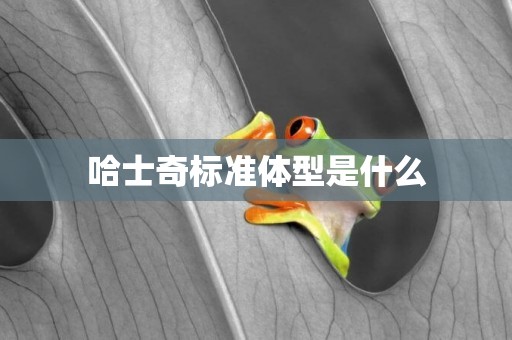 哈士奇標準體型是什么