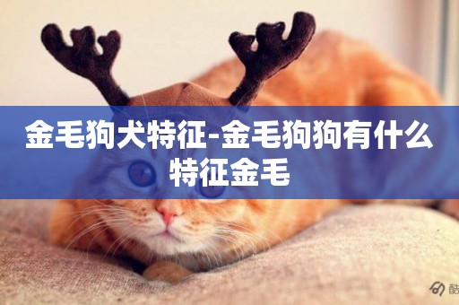 金毛狗犬特征-金毛狗狗有什么特征金毛