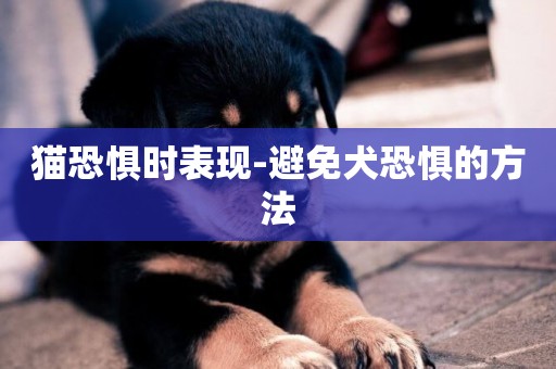 貓恐懼時表現-避免犬恐懼的方法
