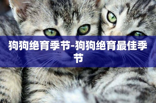 狗狗絕育季節-狗狗絕育最佳季節