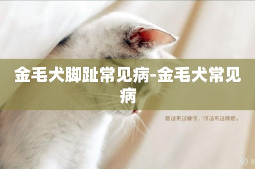 金毛犬腳趾常見病-金毛犬常見病