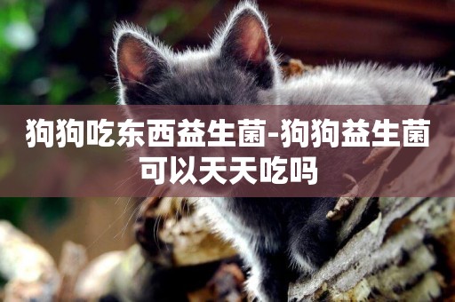 狗狗吃東西益生菌-狗狗益生菌可以天天吃嗎
