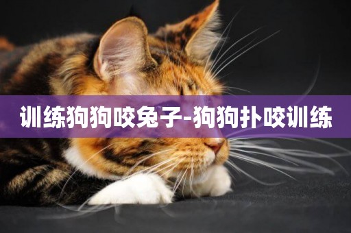 訓練狗狗咬兔子-狗狗撲咬訓練