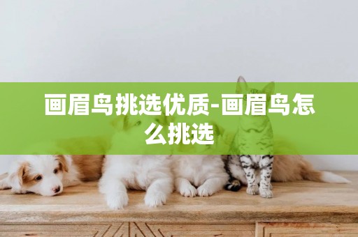 畫眉鳥挑選優質-畫眉鳥怎么挑選