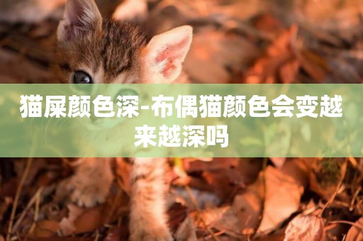 貓屎顏色深-布偶貓顏色會變越來越深嗎