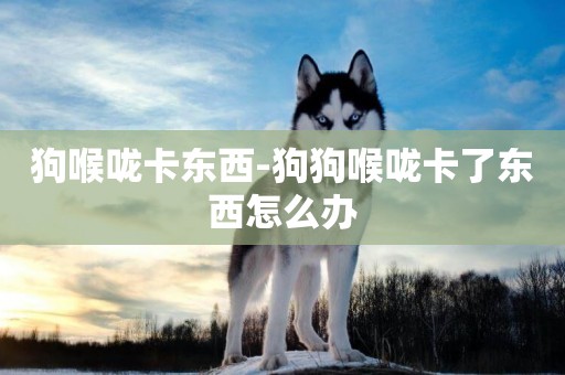 狗喉嚨卡東西-狗狗喉嚨卡了東西怎么辦