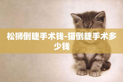 松獅倒睫手術錢-貓倒睫手術多少錢