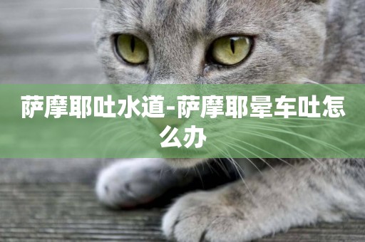 薩摩耶吐水道-薩摩耶暈車吐怎么辦