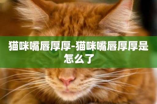 貓咪嘴唇厚厚-貓咪嘴唇厚厚是怎么了