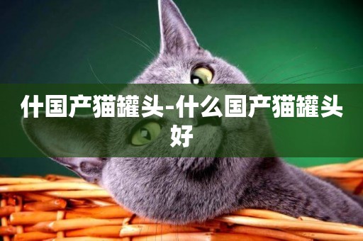 什國產貓罐頭-什么國產貓罐頭好
