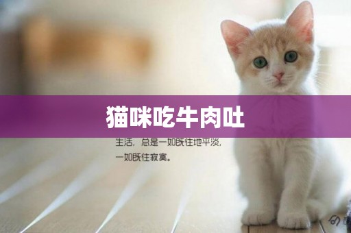 貓咪吃牛肉吐