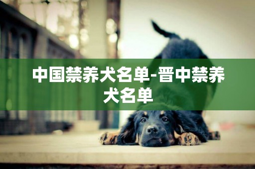 中國禁養犬名單-晉中禁養犬名單