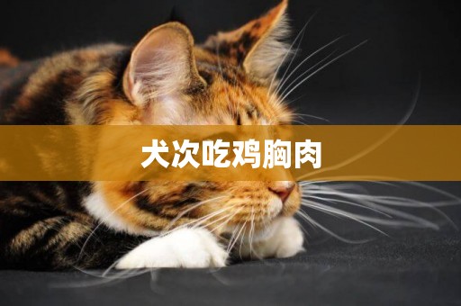 犬次吃雞胸肉
