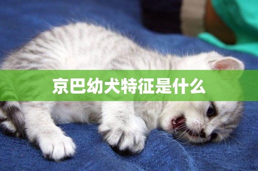 京巴幼犬特征是什么