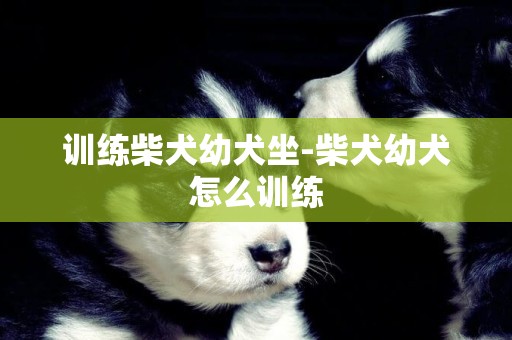 訓練柴犬幼犬坐-柴犬幼犬怎么訓練