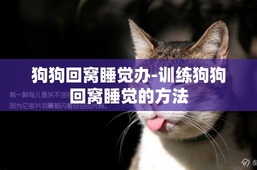 狗狗回窩睡覺辦-訓練狗狗回窩睡覺的方法