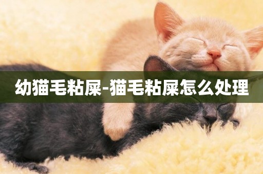 幼貓毛粘屎-貓毛粘屎怎么處理