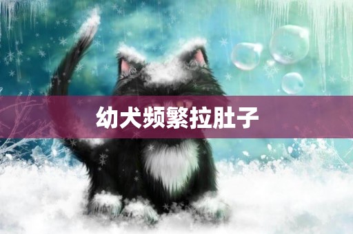 幼犬頻繁拉肚子
