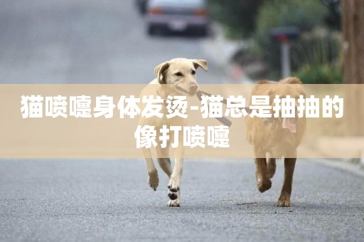 貓噴嚏身體發燙-貓總是抽抽的像打噴嚏