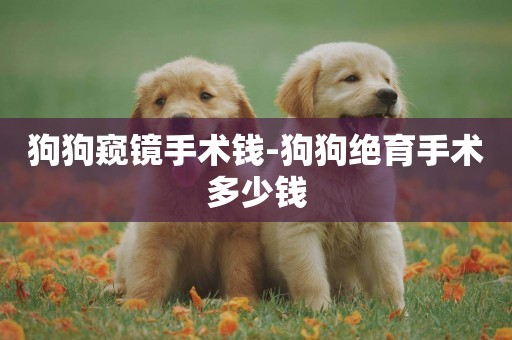 狗狗窺鏡手術錢-狗狗絕育手術多少錢