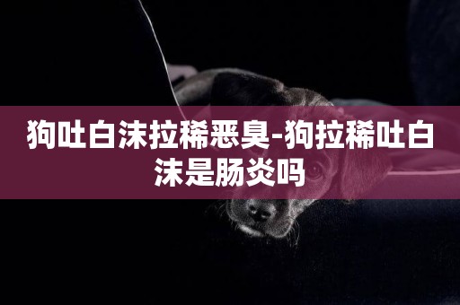 狗吐白沫拉稀惡臭-狗拉稀吐白沫是腸炎嗎