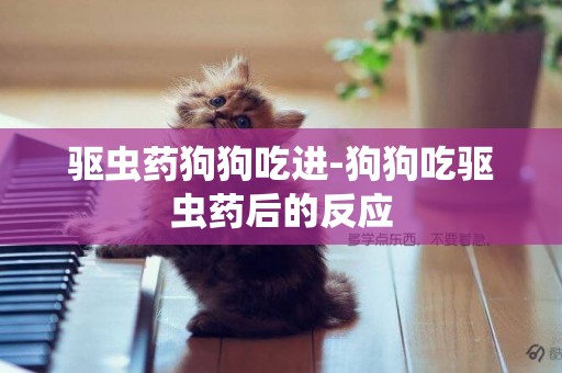 驅蟲藥狗狗吃進-狗狗吃驅蟲藥后的反應