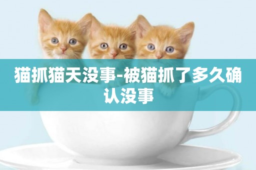 貓抓貓天沒事-被貓抓了多久確認沒事