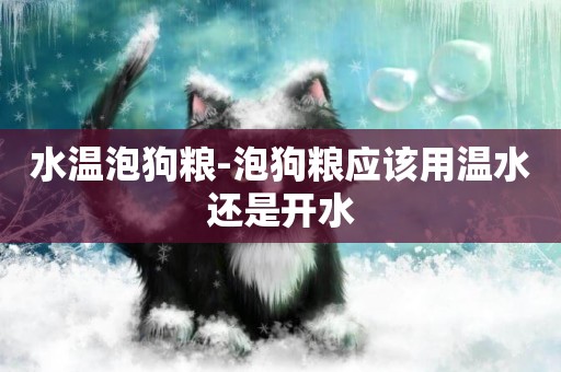 水溫泡狗糧-泡狗糧應該用溫水還是開水