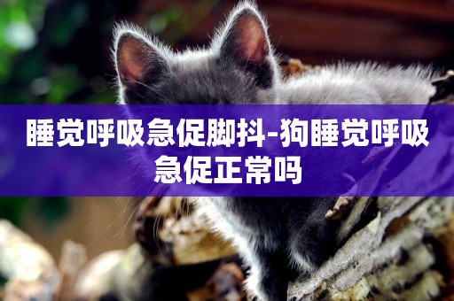睡覺呼吸急促腳抖-狗睡覺呼吸急促正常嗎