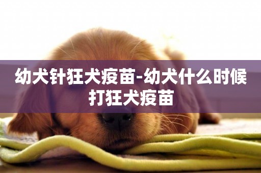 幼犬針狂犬疫苗-幼犬什么時候打狂犬疫苗