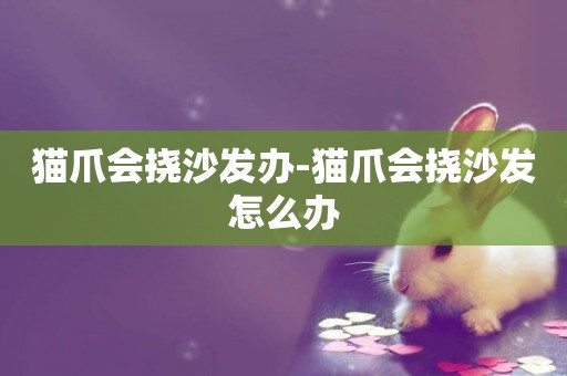 貓爪會撓沙發辦-貓爪會撓沙發怎么辦