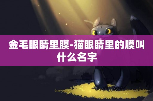 金毛眼睛里膜-貓眼睛里的膜叫什么名字