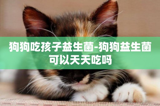 狗狗吃孩子益生菌-狗狗益生菌可以天天吃嗎