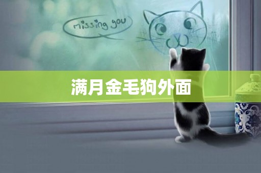 滿月金毛狗外面